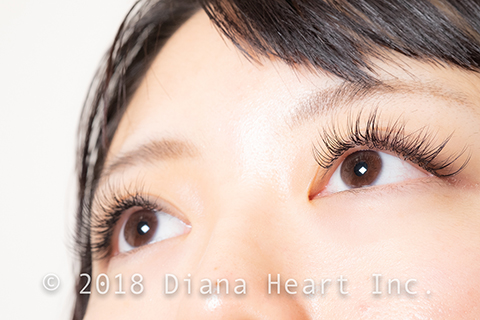 ゴージャスデザイン左目開け