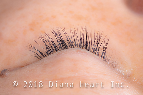 ナチュラルデザイン左目閉じ