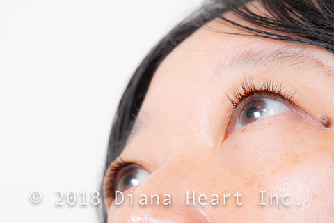 ナチュラルデザイン左目開け